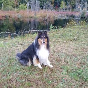 Meet your Posher, Cathy